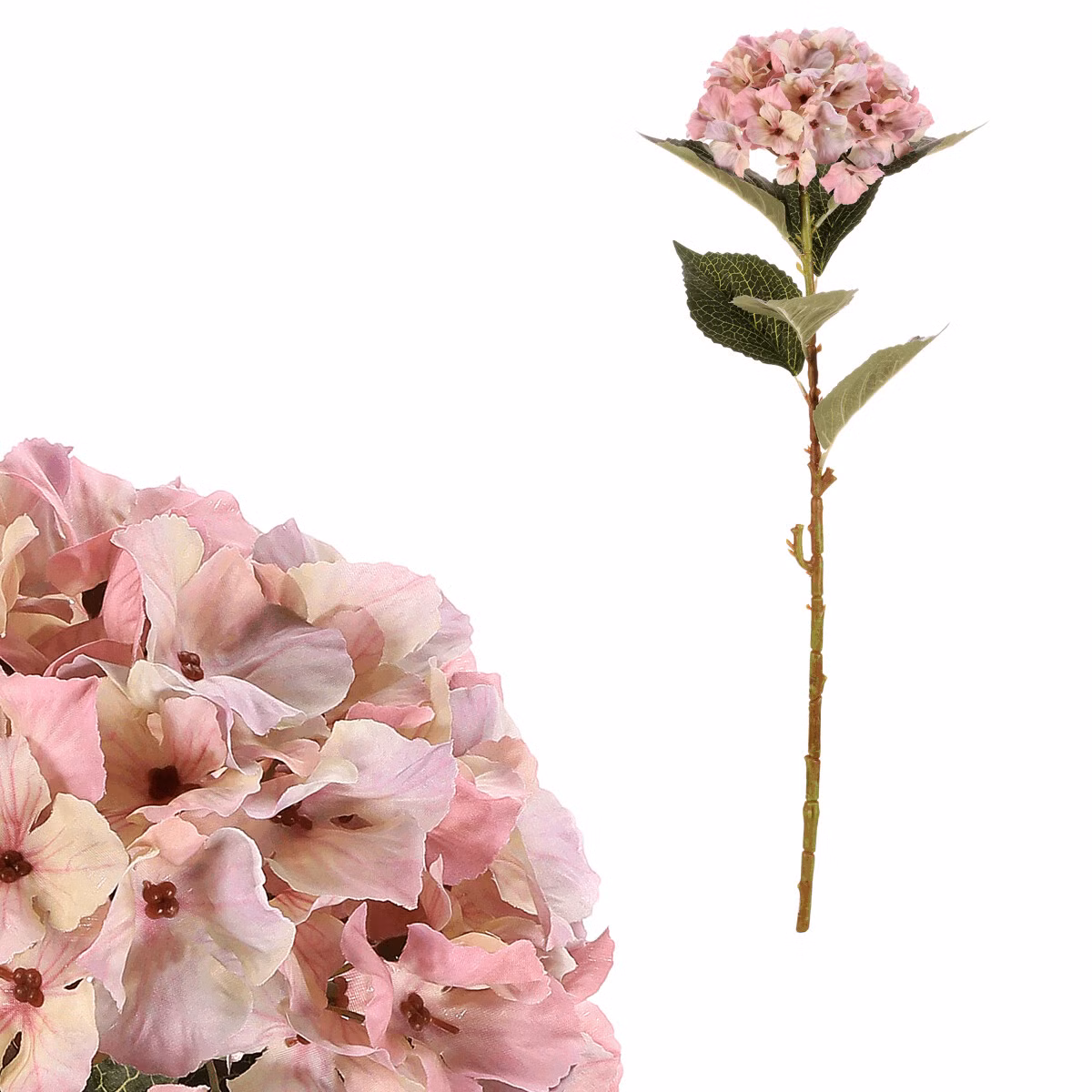 a5ce50643149c2427599ed24fff05d57