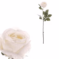a5df64472378a44a2208241c29e05192