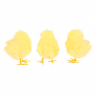 a648764da48666715d0b76cac811edaa