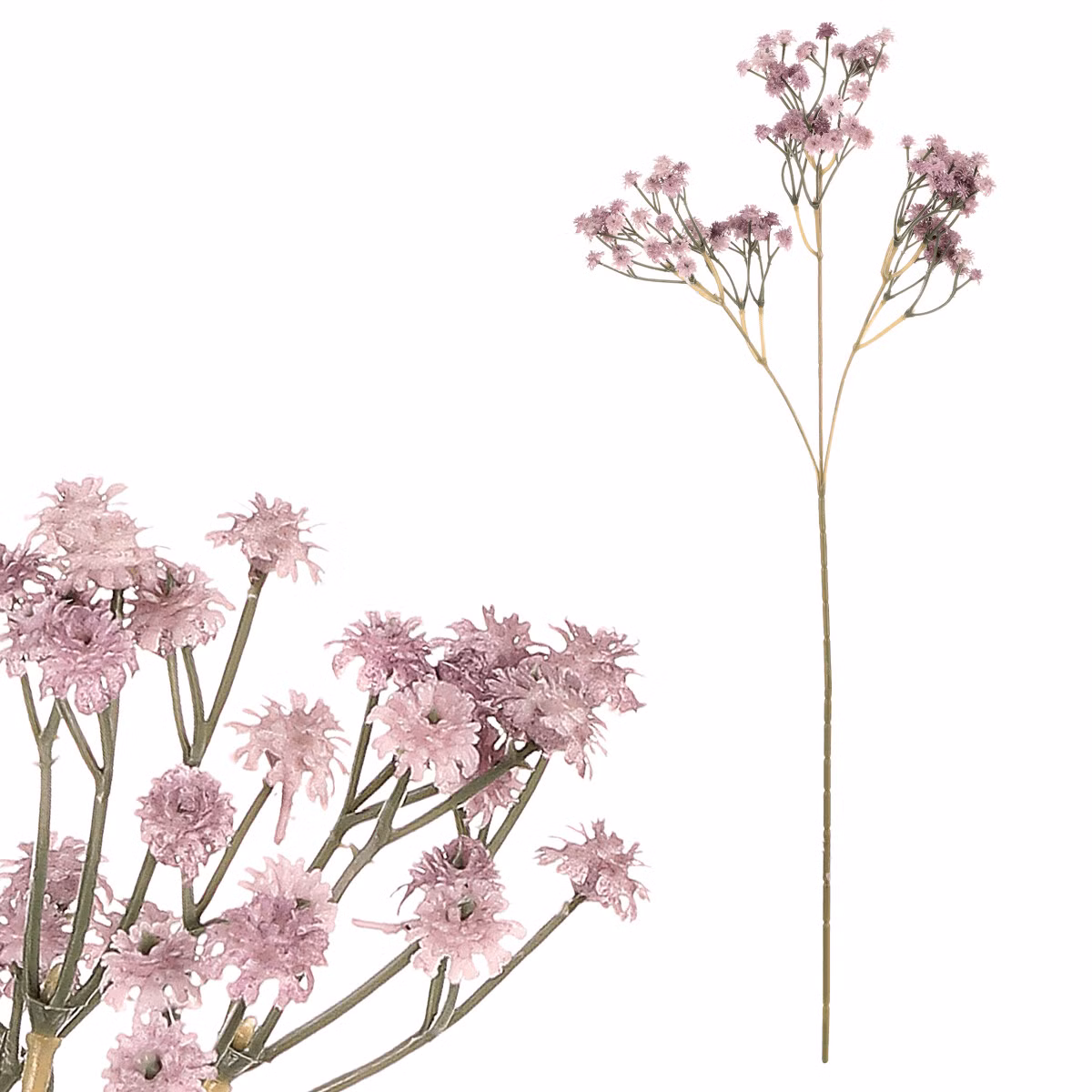 a67f9d9660421bed94517492f9f071b4