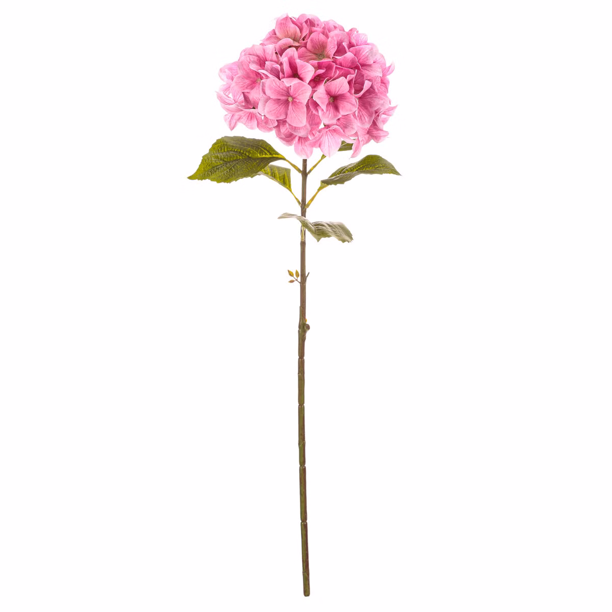 a71c5b00a3db34044580f61ddafac4e6