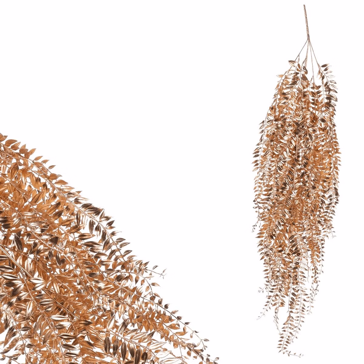 a7569f2a004a9bd1708b9e9565da3d26