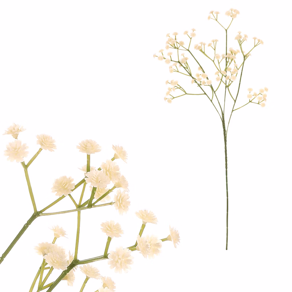 a7604ca5acd9024942d0f7c6ea1b4b5b