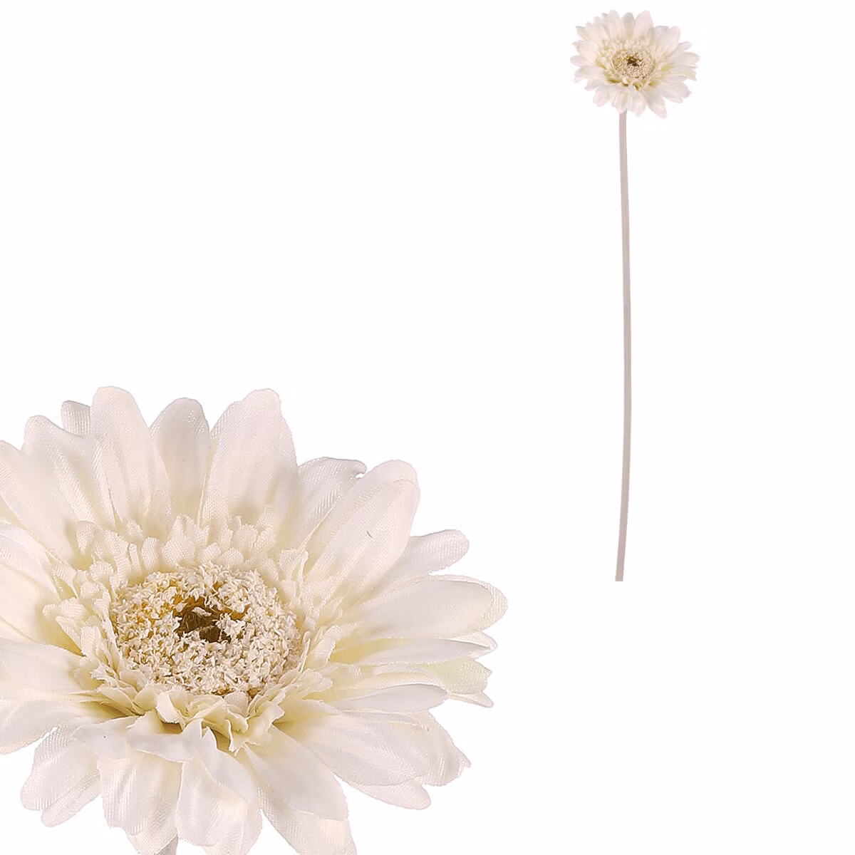 a7cdee67cc476569ca3281c1deb4e36e