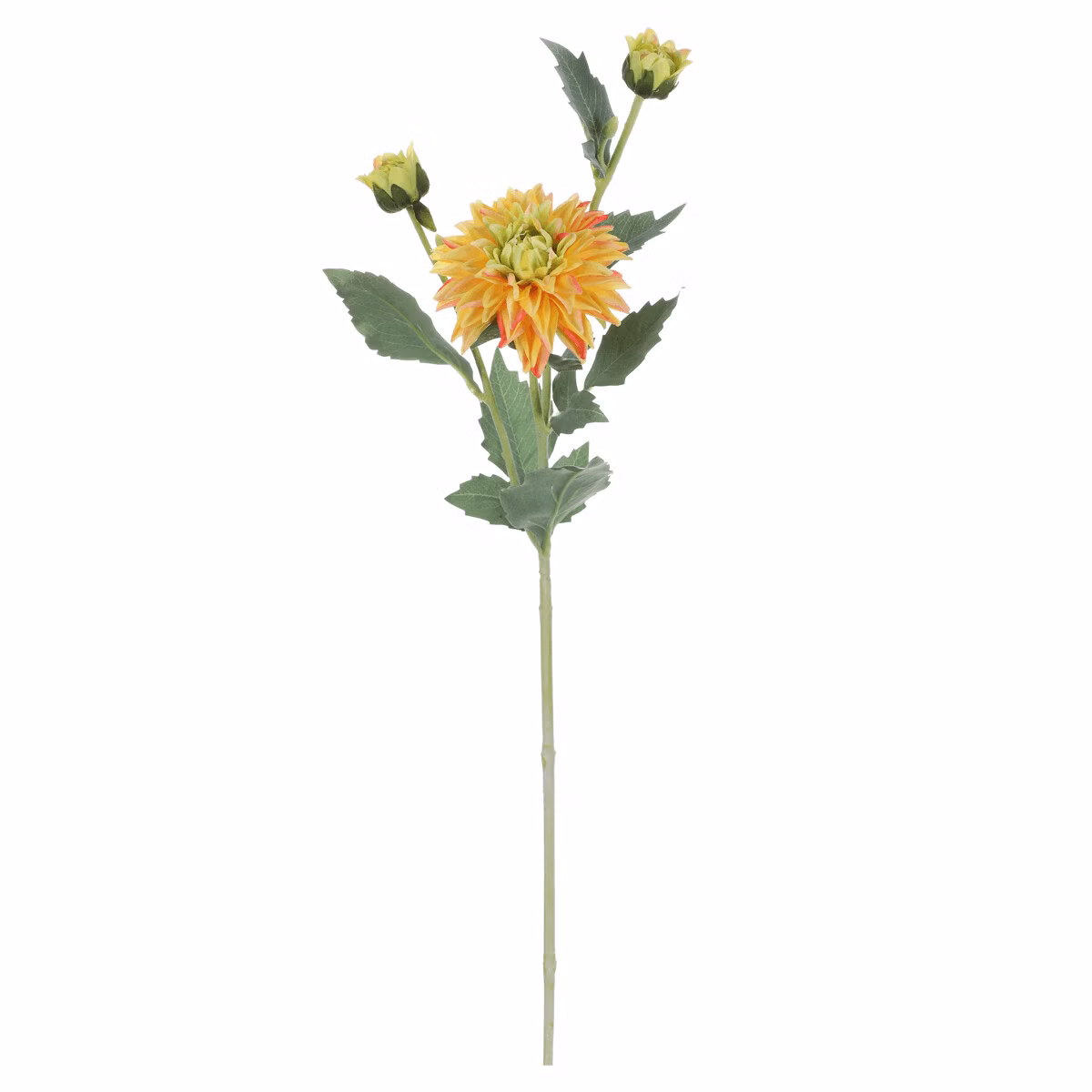 a87b583a57d0978d4c2decd38184527e