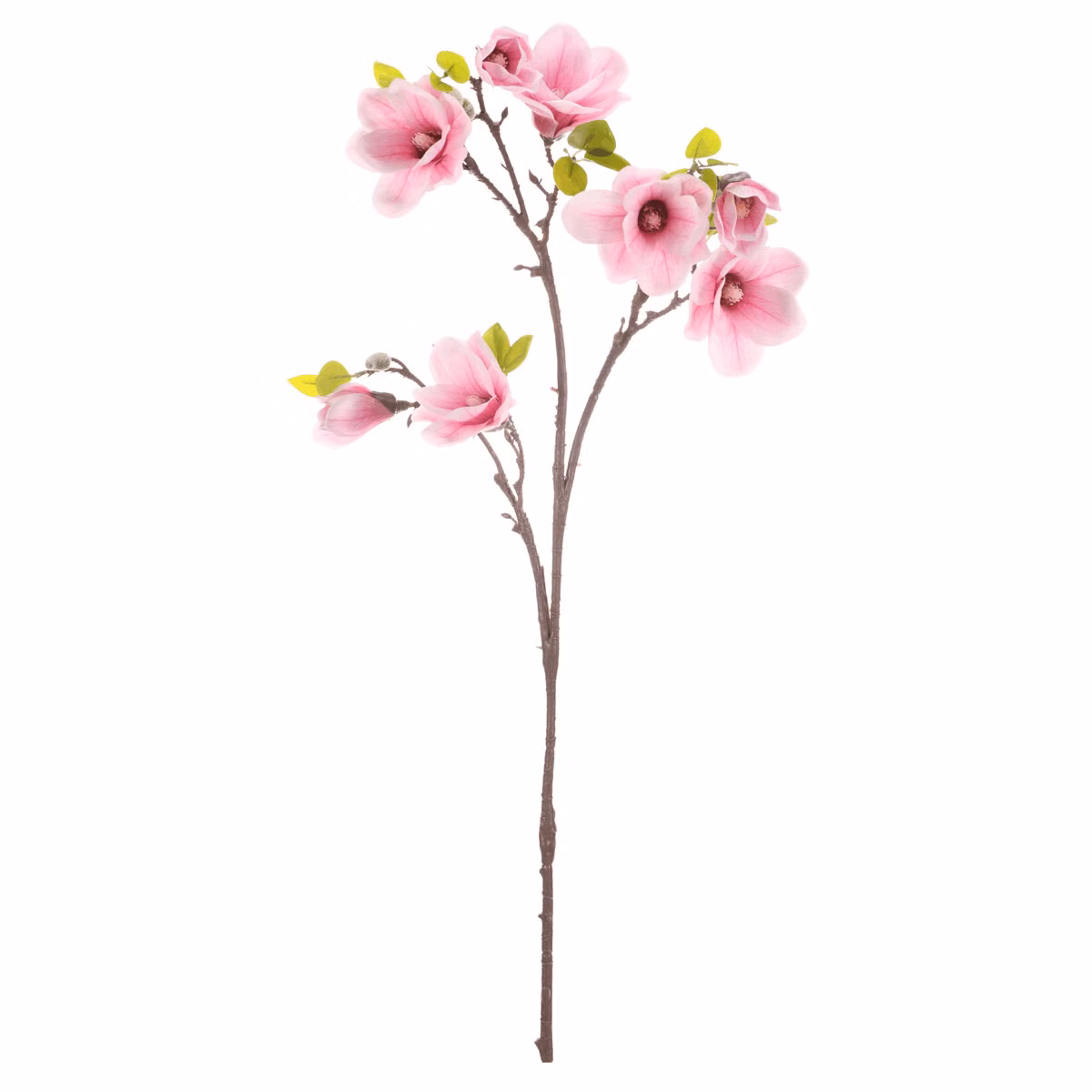 a9154cb1967b0cd11a870103431ca101