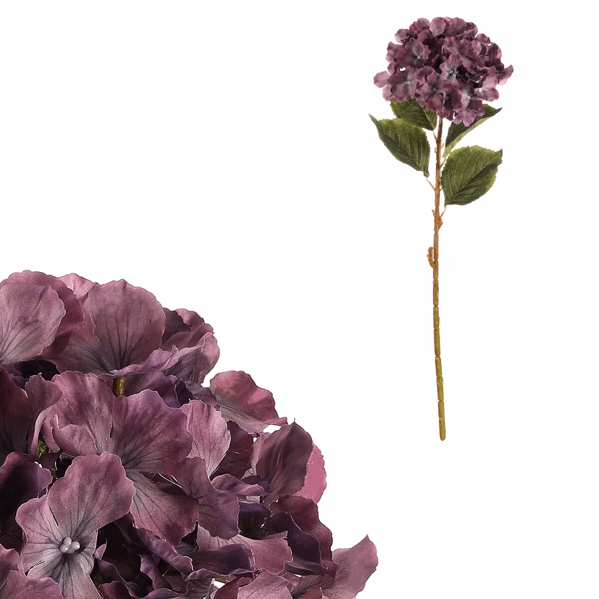 a9847101b586a497c96de5f92c1e9615