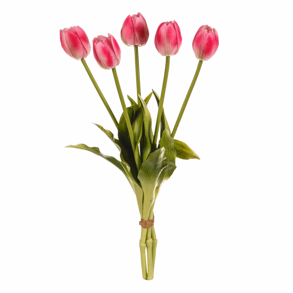 aa297639d20460514af39b3de65dafcc