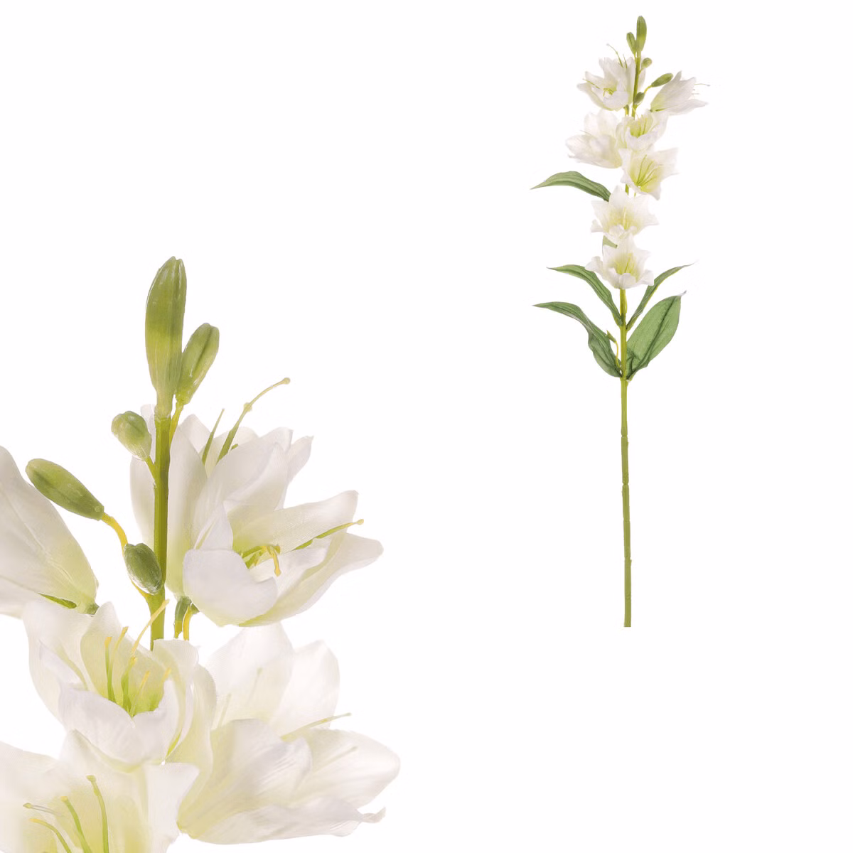 ab5cbcd0aae979dababbb87e5d25fcbc