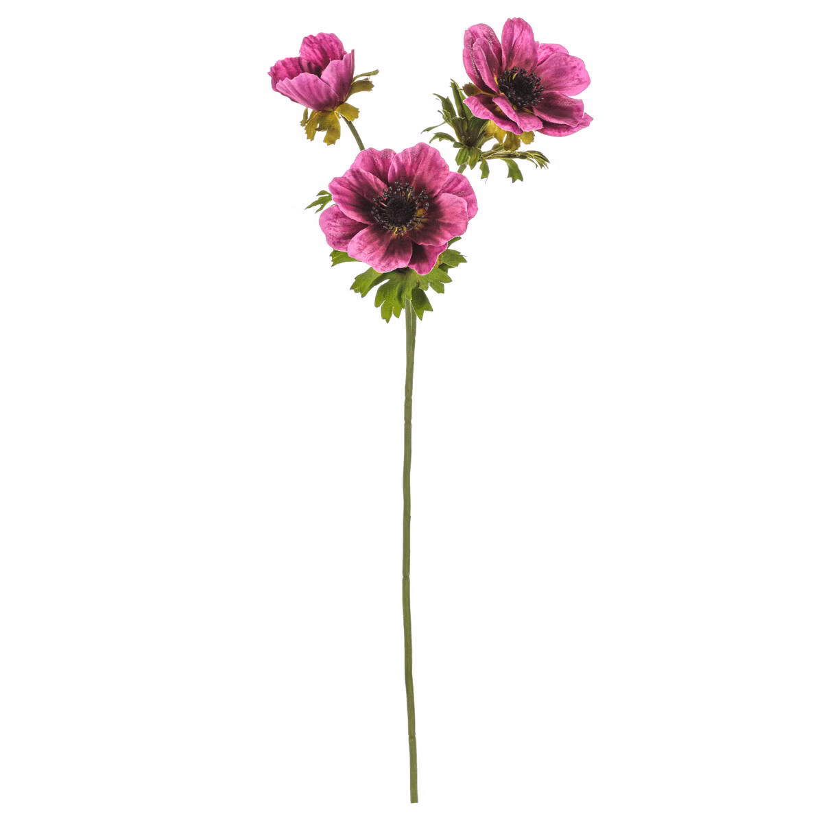 ab624188489e7c8e373d11ef0c5cfdcd