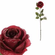 ab6731262c292a5e70ec041073e0db62