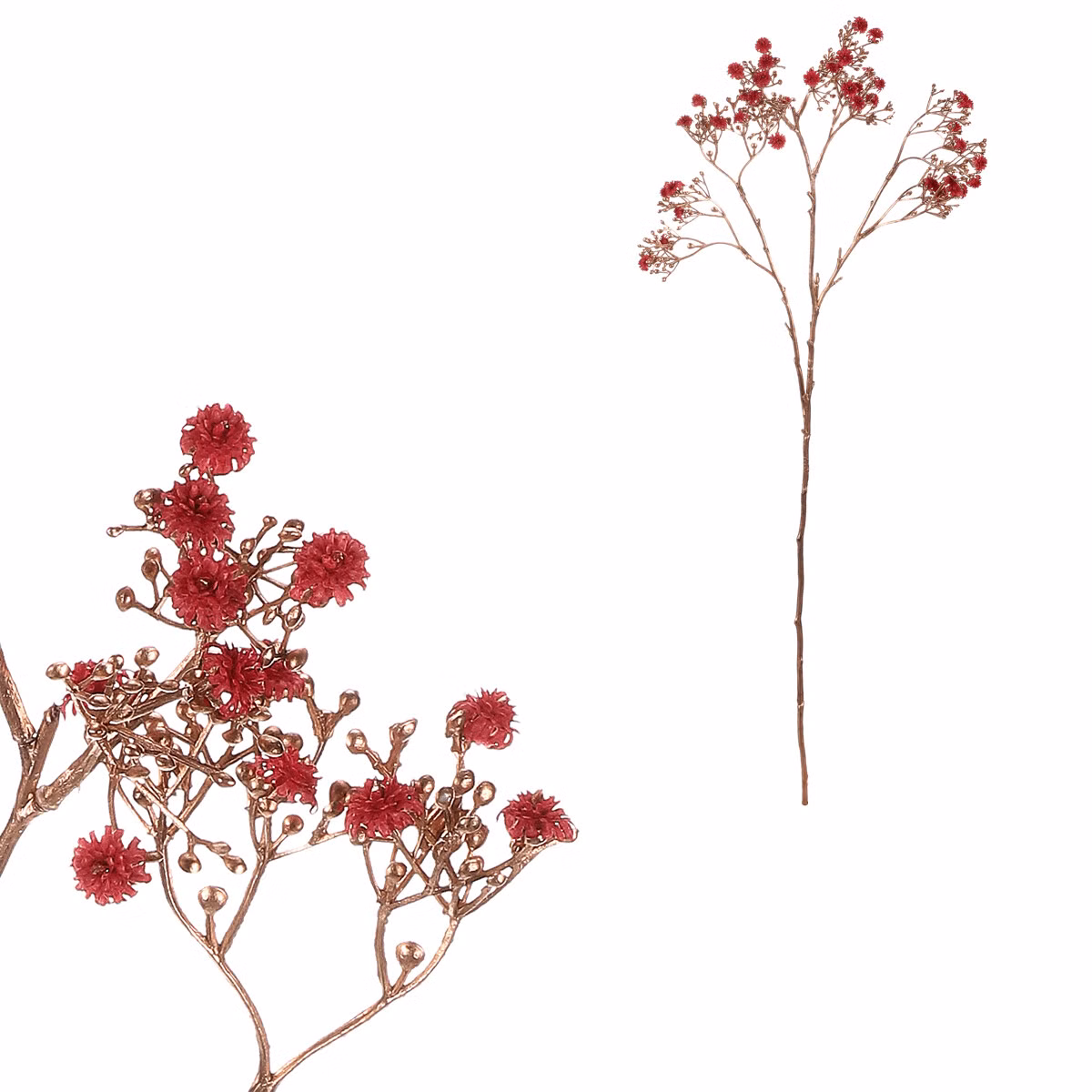 ab987567601c085ab28aa9fb38e56e18