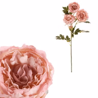 acc1aacfe51864b9944e09cd4358ab81