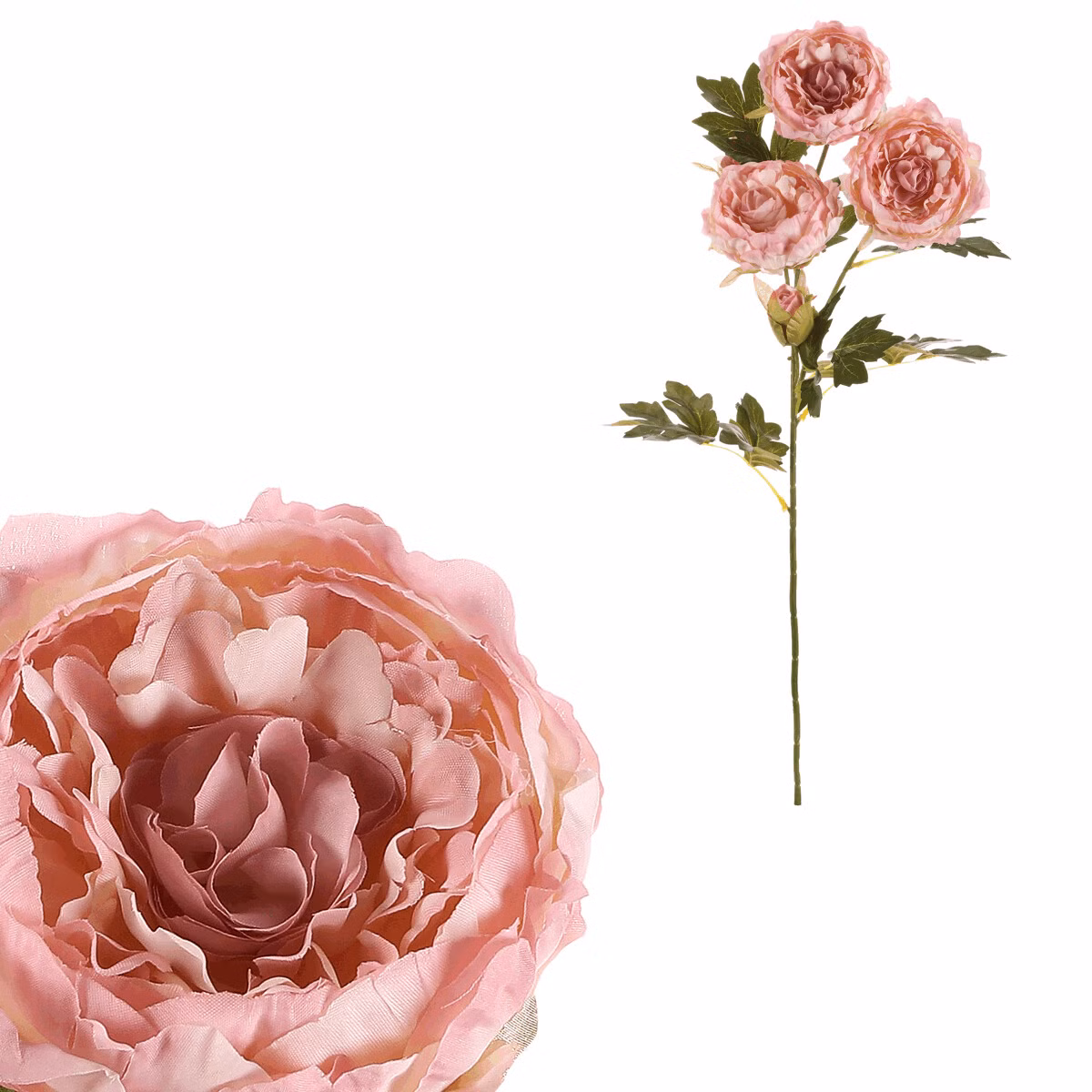 acc1aacfe51864b9944e09cd4358ab81