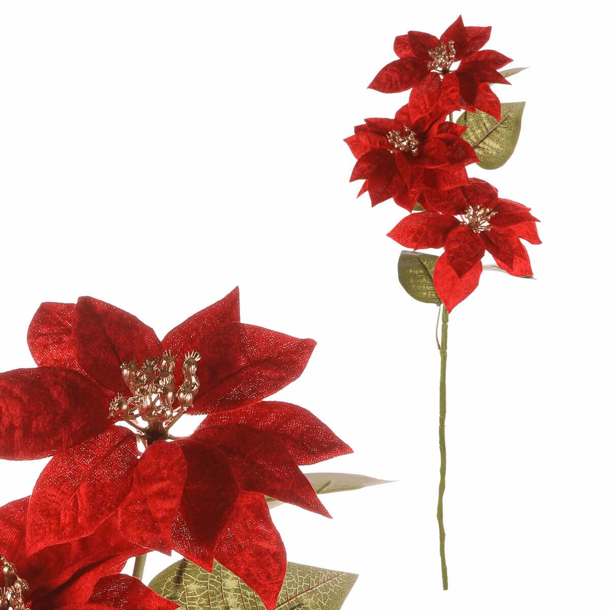 adff9d39375669b3c4c7861b137af33f