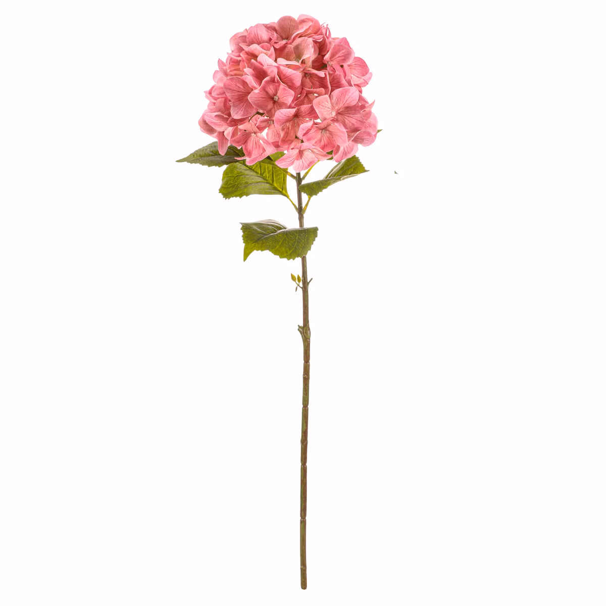 aea48b905ca0416f5254e193187ad493