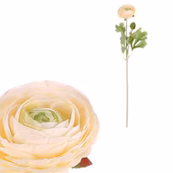 aeb4cdd1e3320024532c511108bbab1e