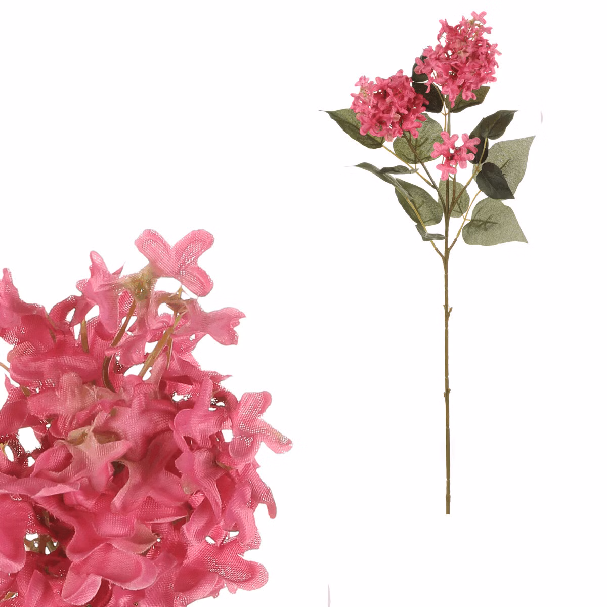 aeb9f30bf588022fce9c52e83ae0120c