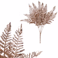 af36390b7e111da6b4ca6c706dc85b05