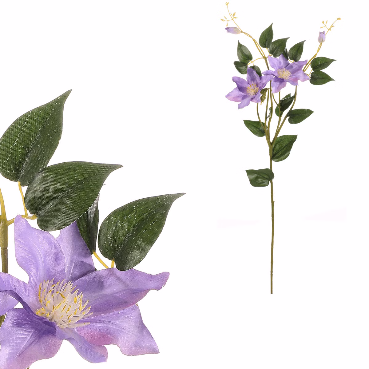 b06b8d9df50d63d038fe03b0563e9b69