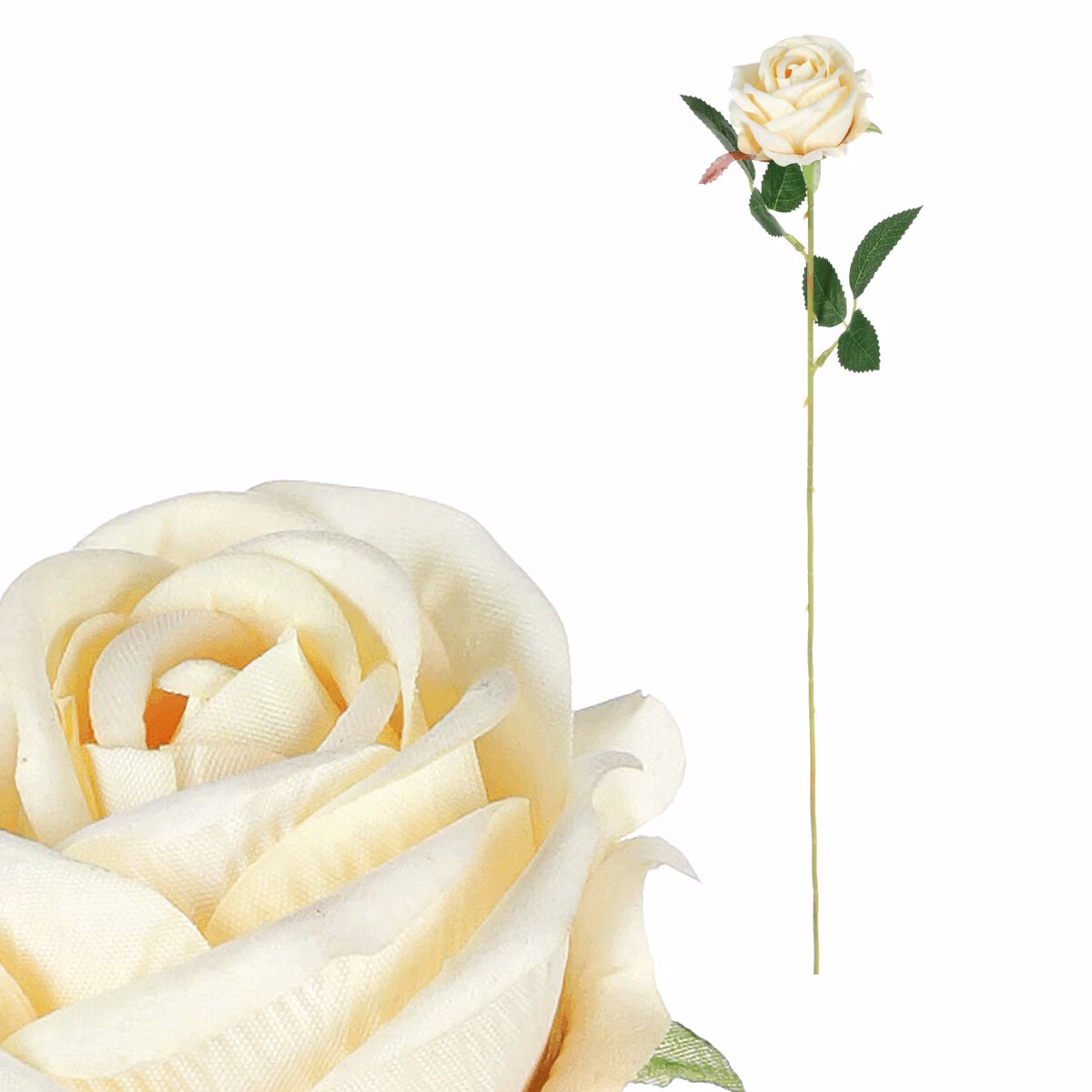 b10f6ad609a6e74a9c9630c168aea1af