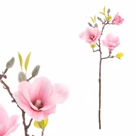 b22e061eeae61b4751ba2a8c8328aa77