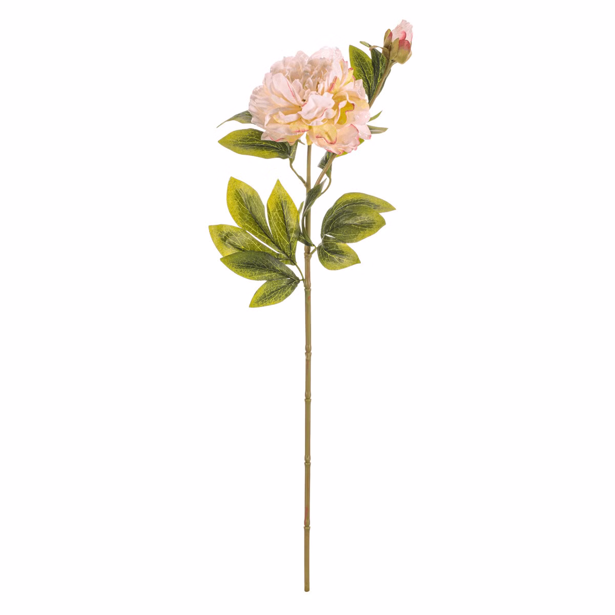 b3ad1b9020e3c30a9e44c840b050abf6