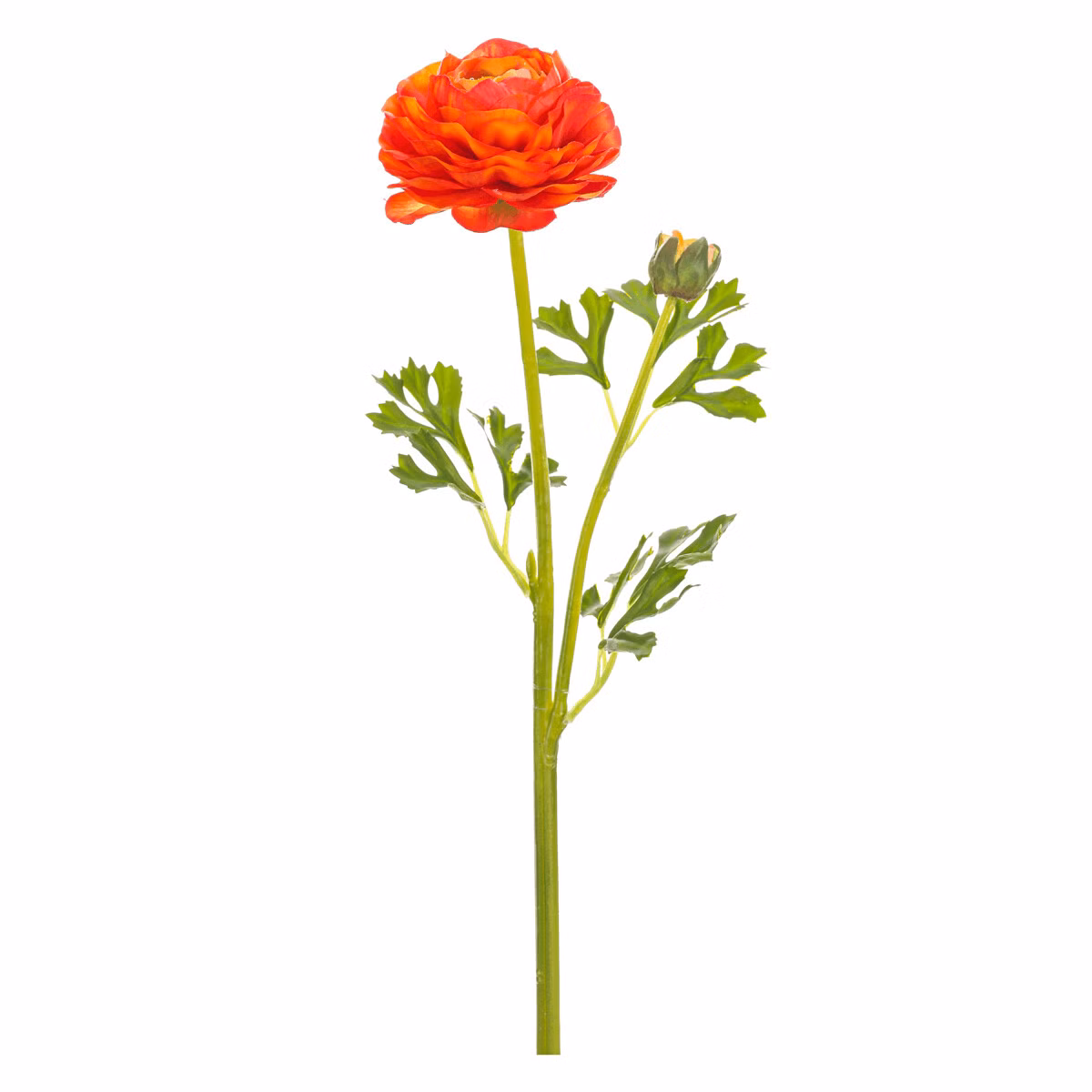 b57dc7faeb01919f1583a38232c720eb