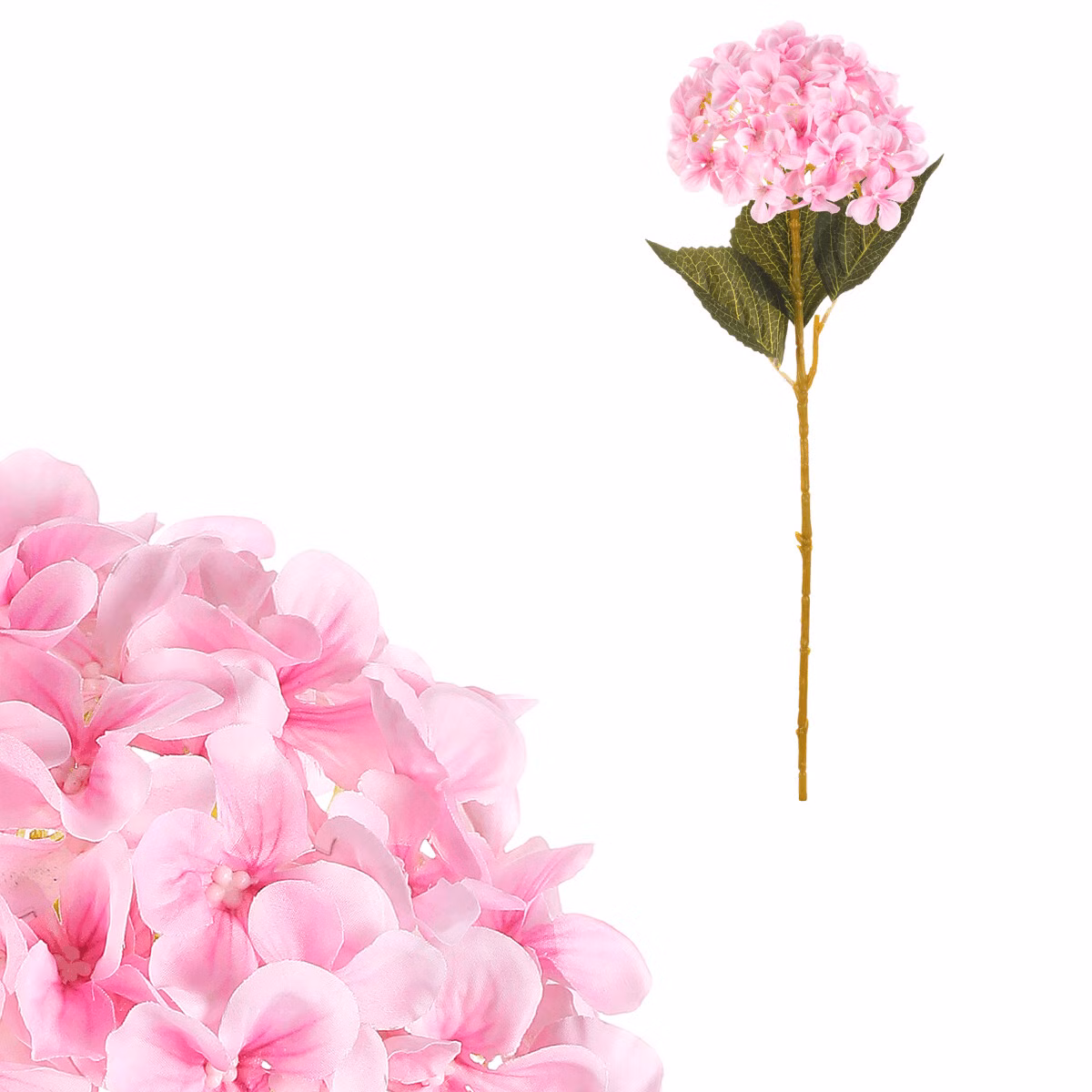 b5c69b155d3669b23c6e09446c78edfb