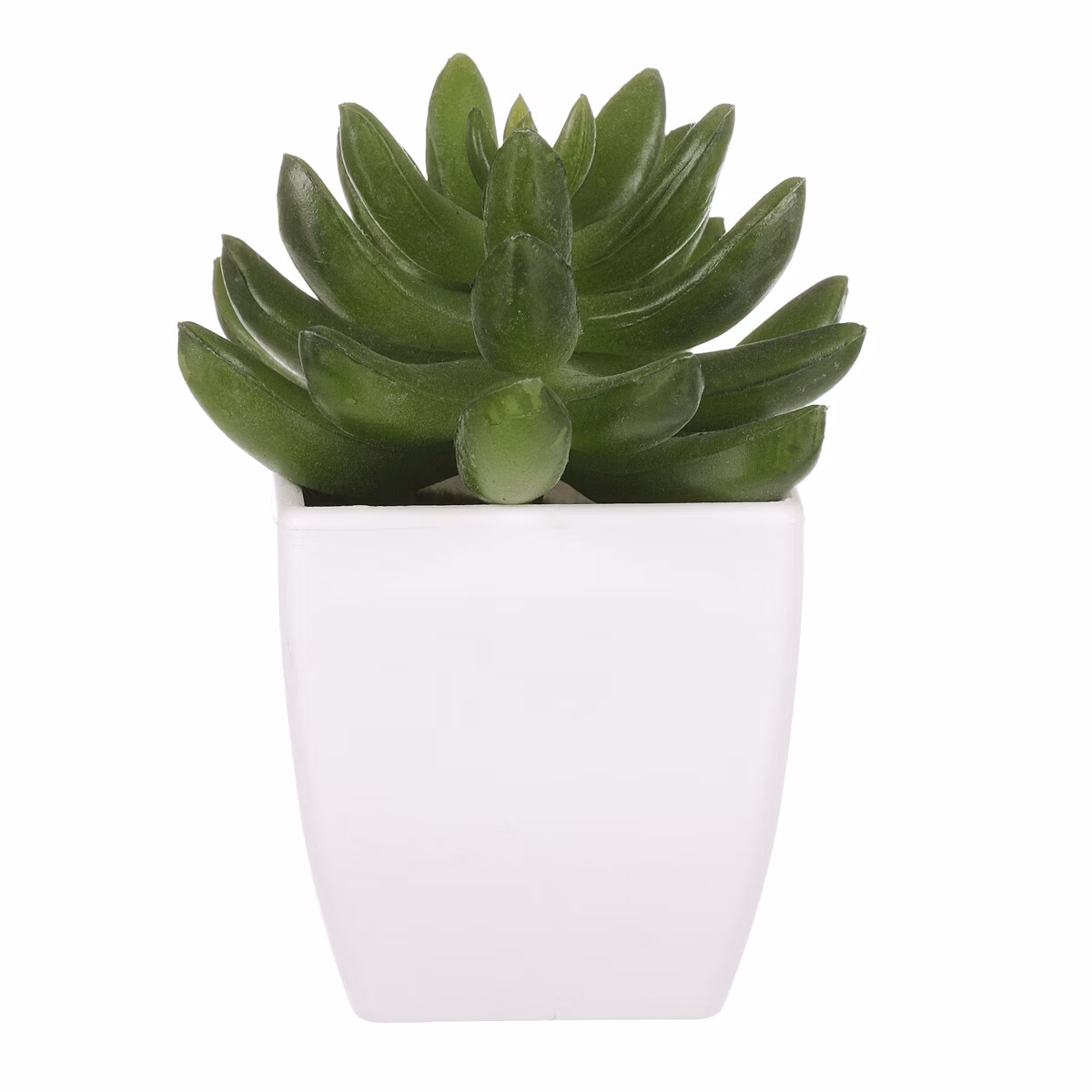 b5ed72a163c5bdfe161bed76131e44d4