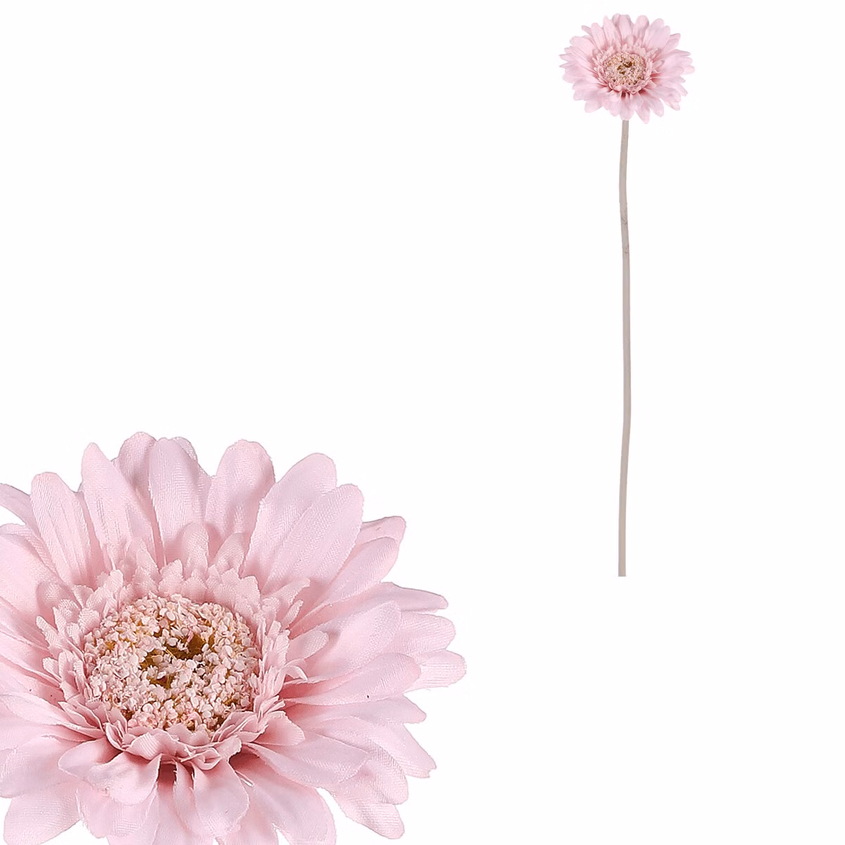 b78be1d328fd4ef06be48b701991e8c3