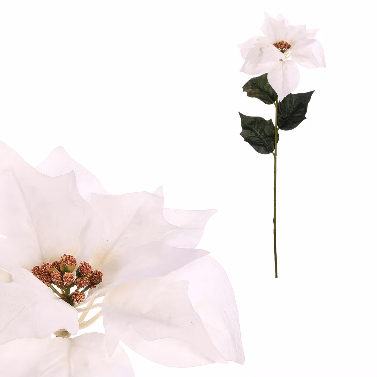 b94d40aa98271ee76d3b96825b11b12a