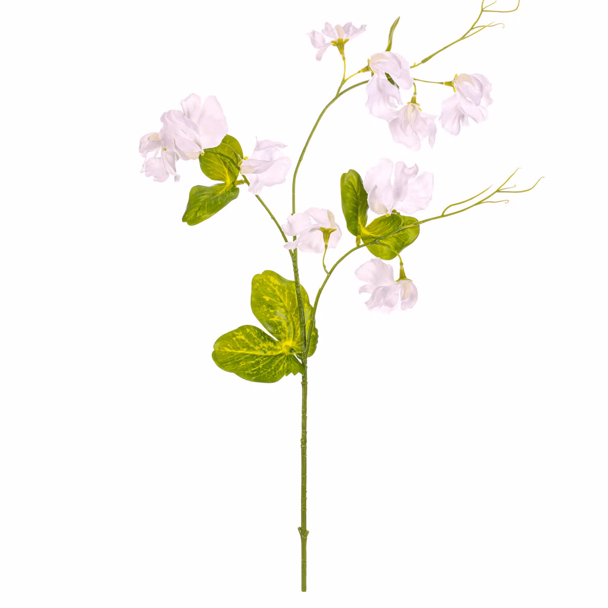 bad2b1c86f7dbabd6d58106d06612e97