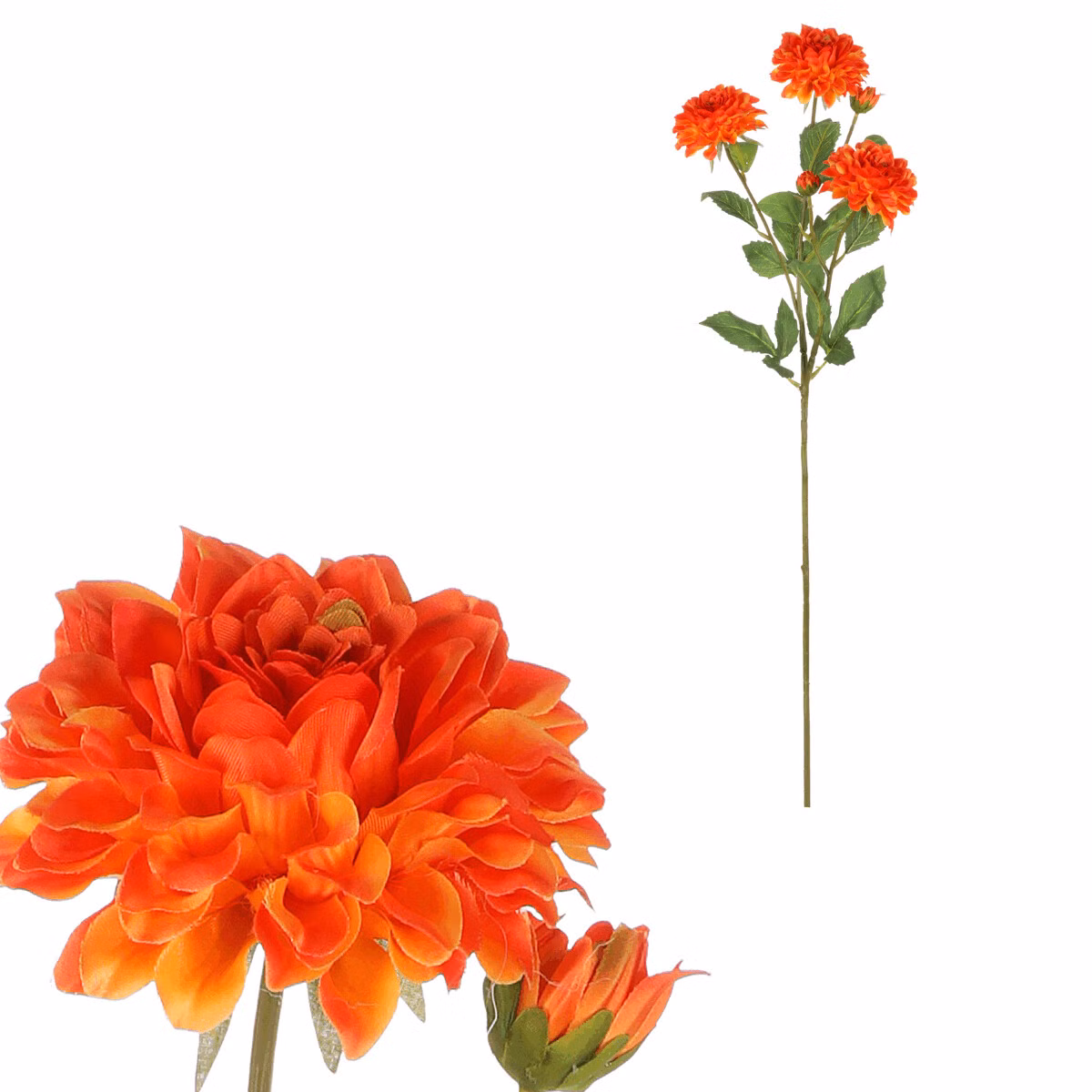 bbfe039c41c216373912cb40f3956a28