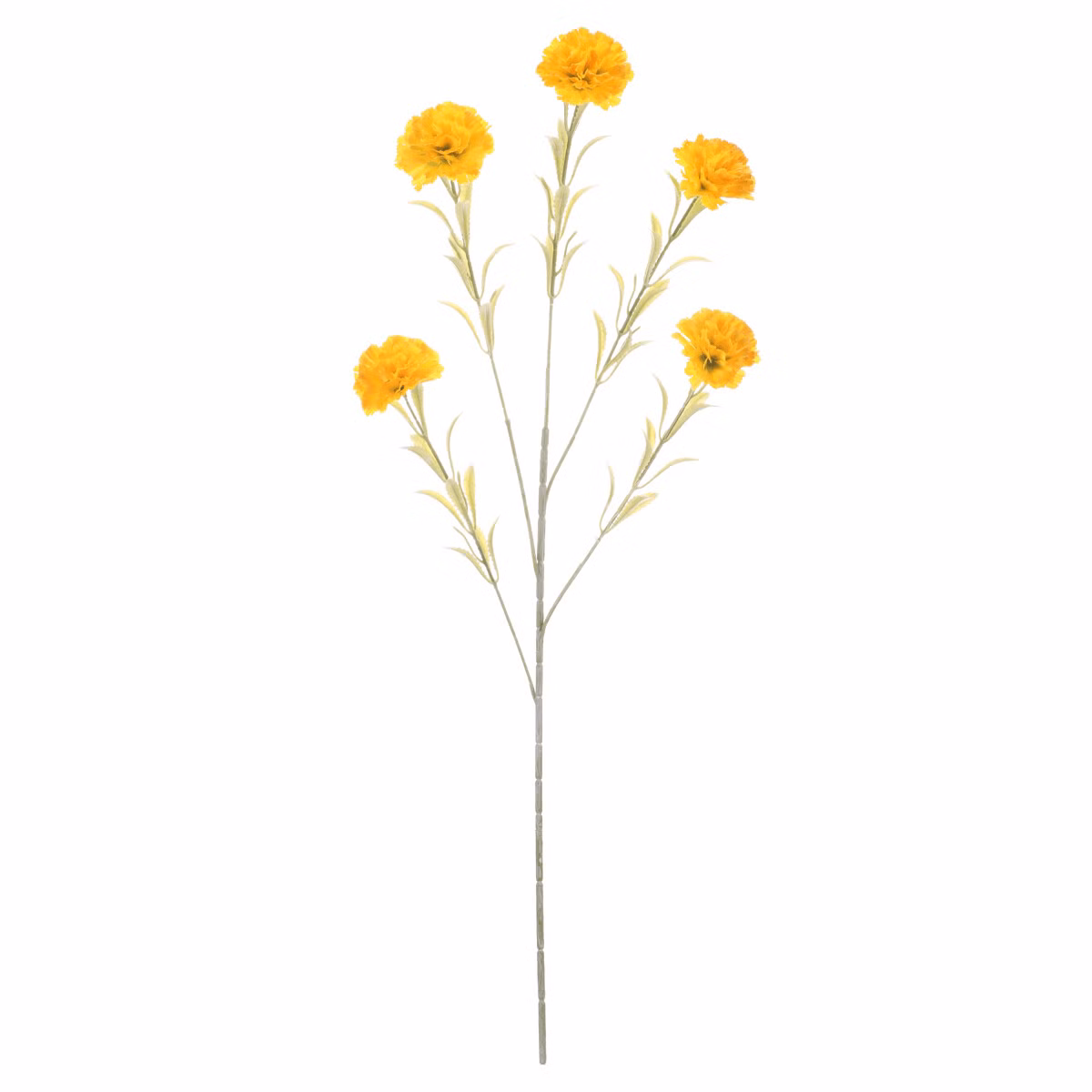 bd24e36c929d2f4364a2aa11eb9613df