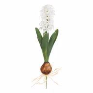 c052672163cd4e512b58a8dc10b9ad72
