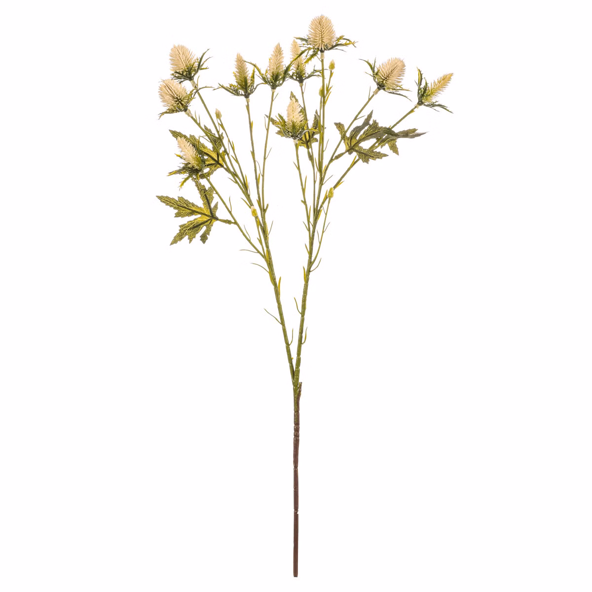 c08ddcc3daa75c0d718c7f148626e53f