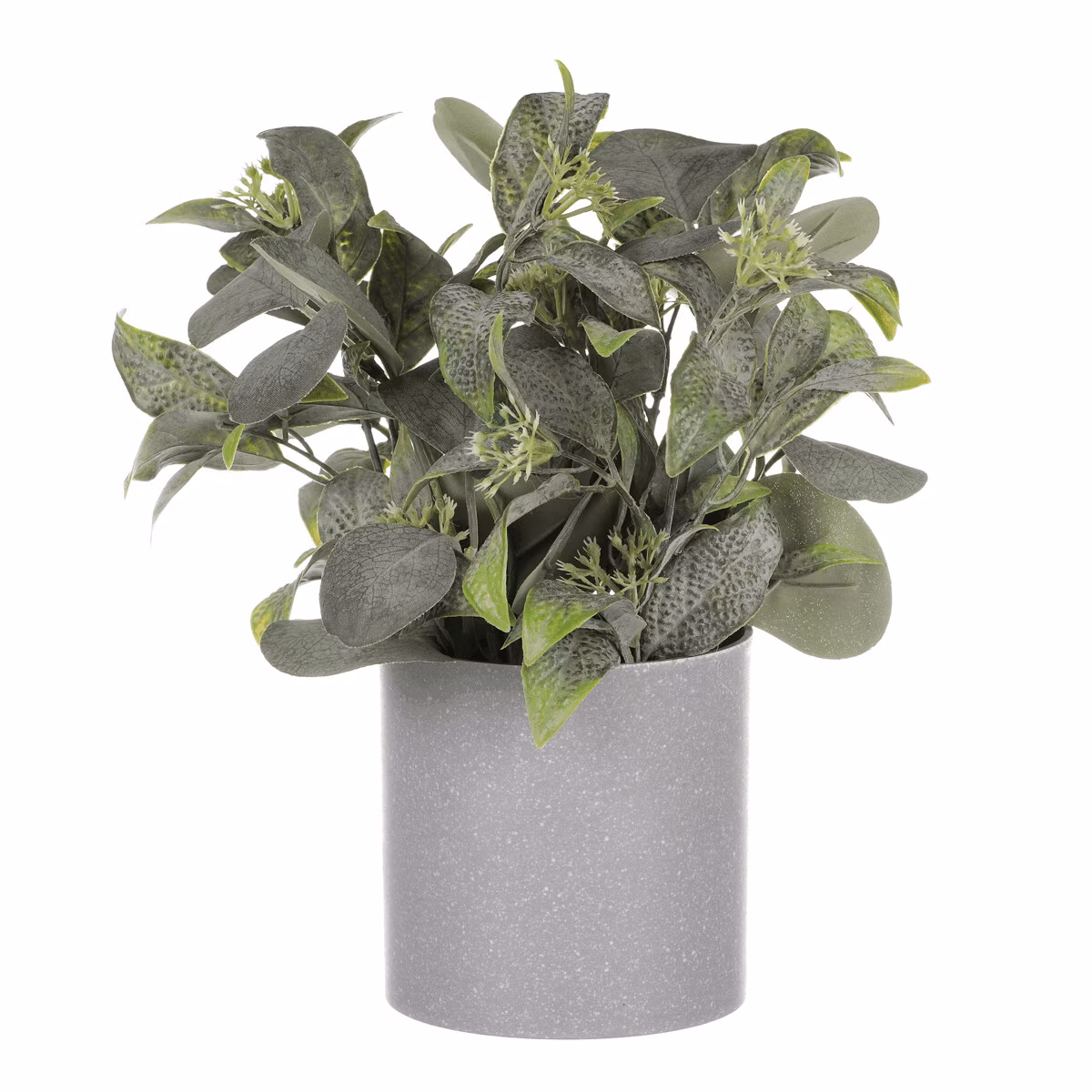 c103edec65ab826513911bc9d22bec64