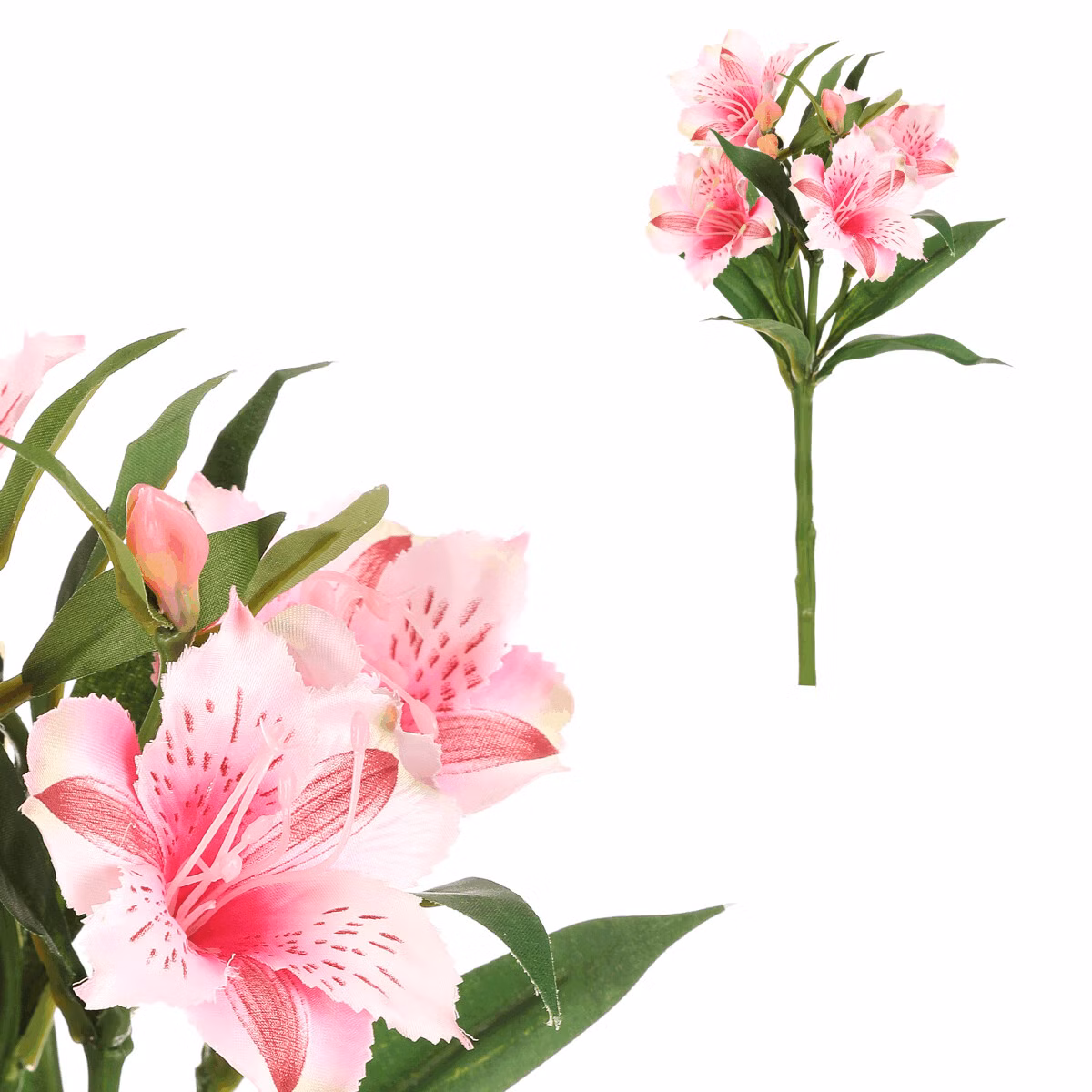 c14bddcfb2ede9b3ff0346f2bf7eddd5