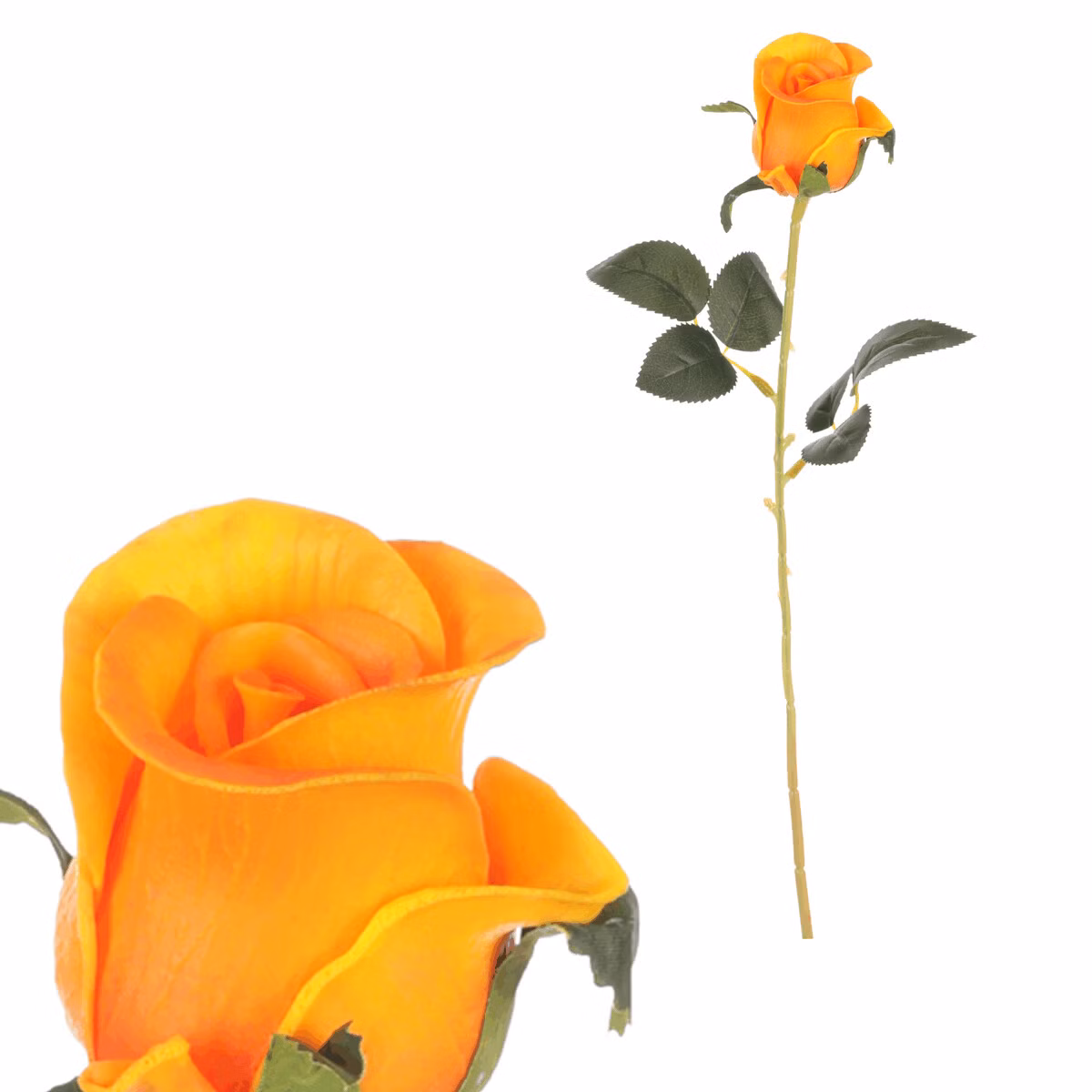 c1834f4c8d08cb619694544d4029c5d0