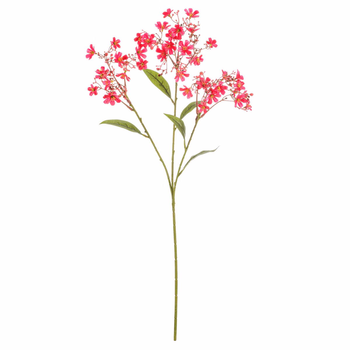 c32a9aef9f261c764f8bab24825b5b92