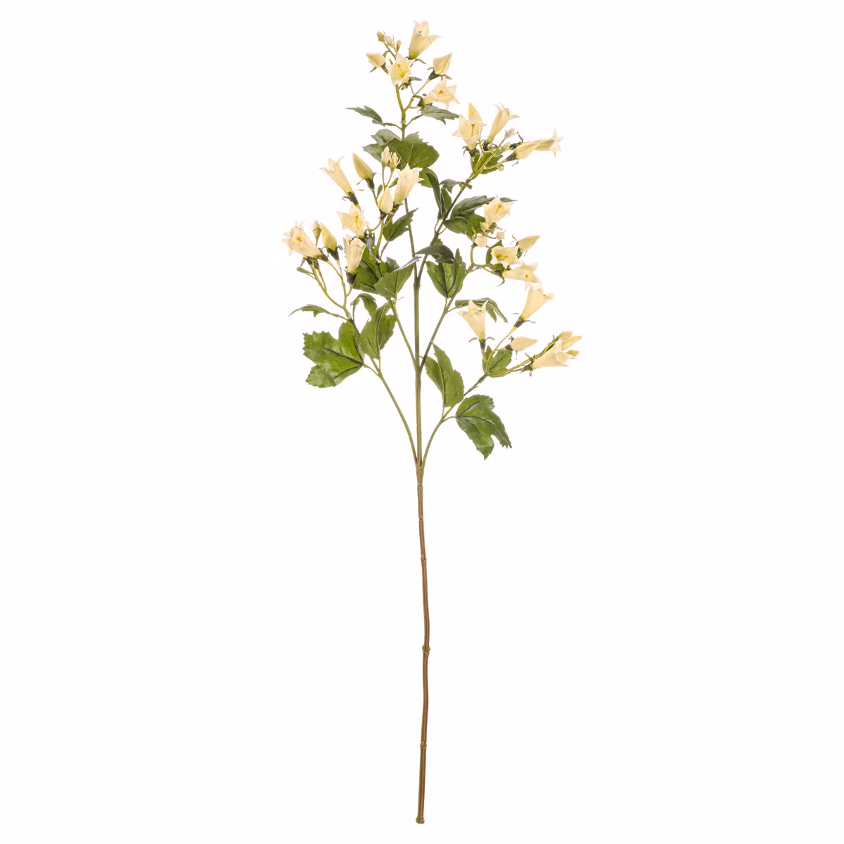 c494b6a33f7b5d4e0b45970fb25afb2c