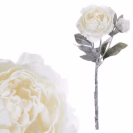 c4d83ef6ade9654b7bb10e9fbe5f8014