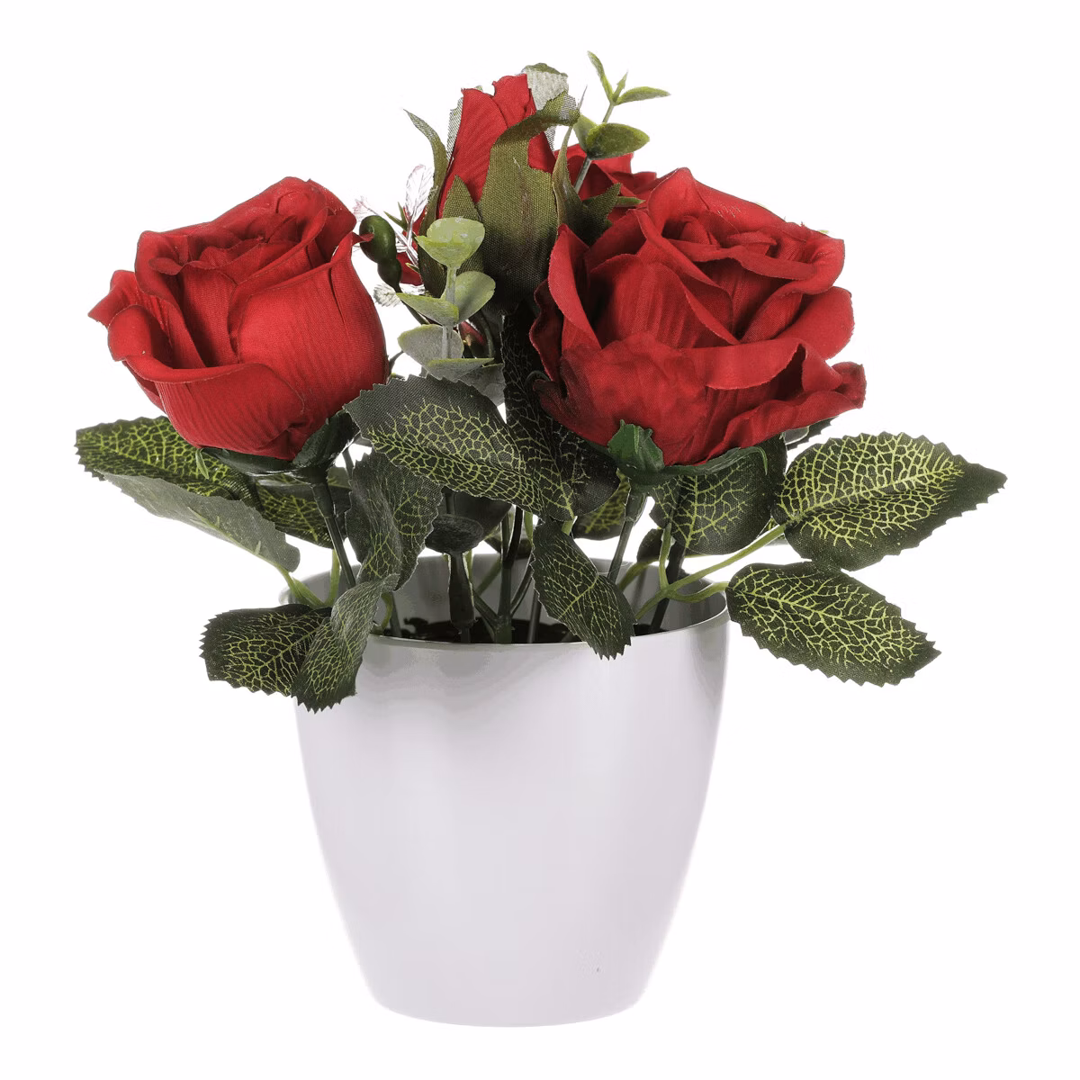 c59244d36e7dbf56c1d8f9c78df22005