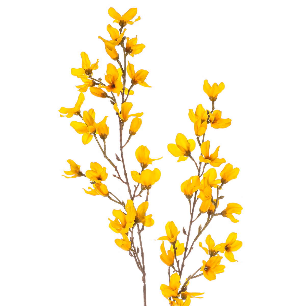 c6345a1782cc08dac93b4a4f96668d18