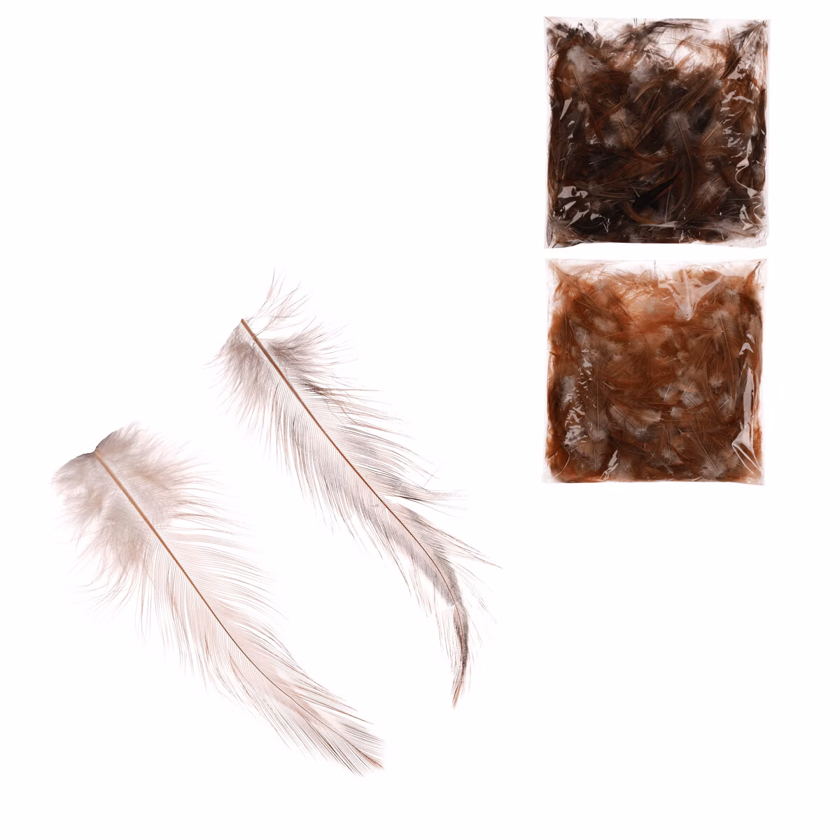 c77b0927f7583e504a4528bf027e2286