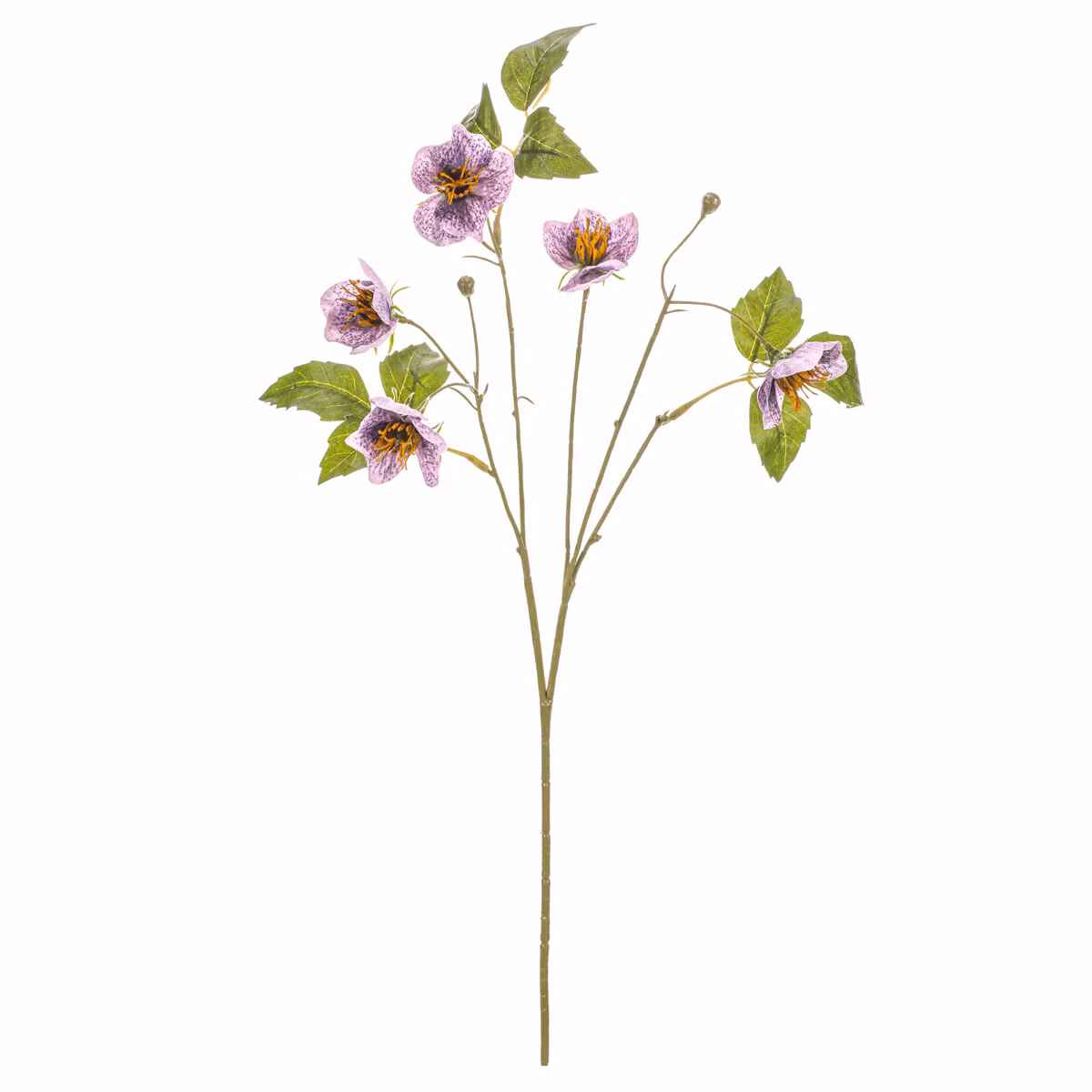 c8d8c7455f5a4dd593a9d1cc2d1b860b