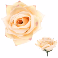 c9df44e1153898447195a61830b295cb