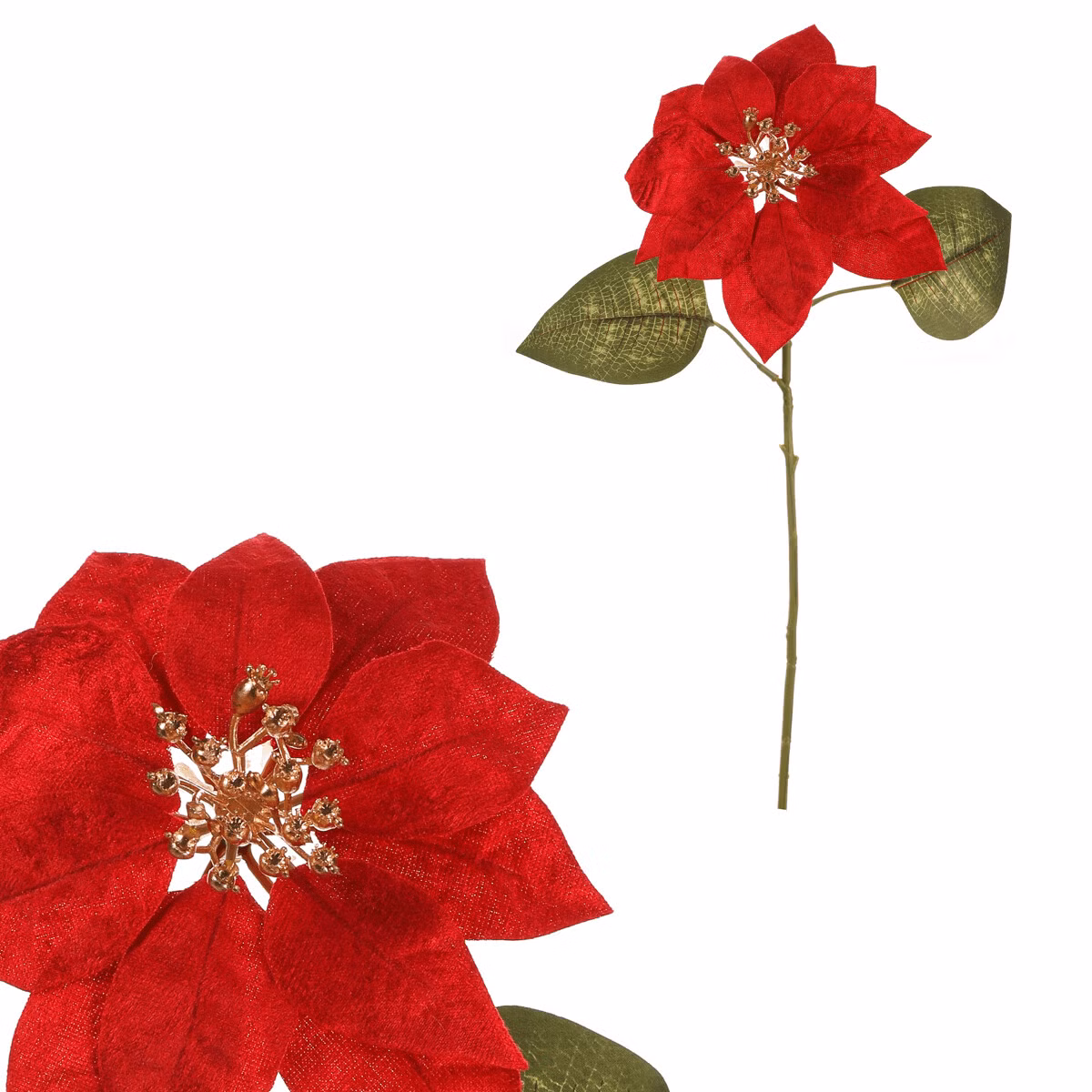 c9f82338371f56d642960f6a04cad46e