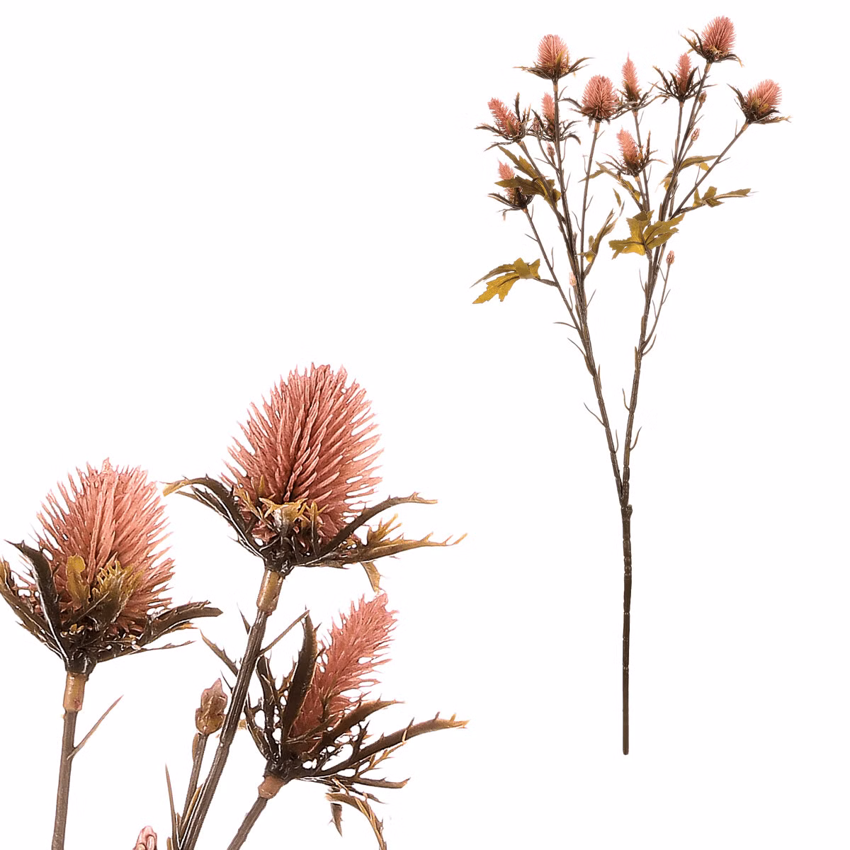 cab415740f293c9ace25eea347943a05